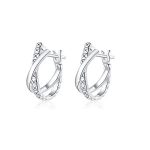 Silberne Ohrringe, Ledermuster