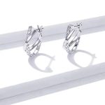 Silberne Ohrringe, Ledermuster