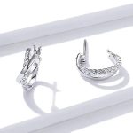 Silberne Ohrringe, Ledermuster