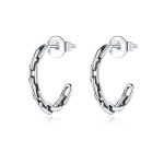 Silberne Ohrringe, Kette