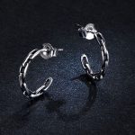 Silberne Ohrringe, Kette