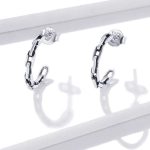 Silberne Ohrringe, Kette