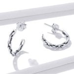 Silberne Ohrringe, Kette