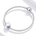 Silberanhänger, Auto