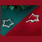 Silberohrringe, Weihnachtsstern