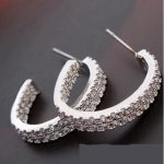  Runde Steinohrringe, Rhodium