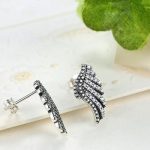 Silberne Phönixflügel-Ohrringe