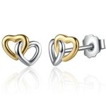 Doppelherz-Silberohrringe