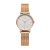 Shengke Damenuhr, Roségold