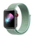 Apple-Watch-Armband, Nylon, 42 mm, Seegrün