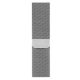 Apple Watch Armband mit Magnet, Edelstahl, 38 mm, Silber