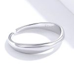 Silberring, Wellenform