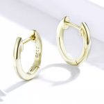 Silberne Creolen, funkelndes Gold