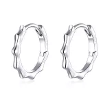 Silberne Sternohrringe