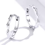 Silberne Sternohrringe