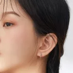 Silberne Sternohrringe