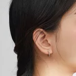 Silberne Sternohrringe