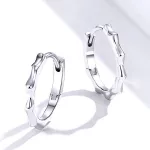 Silberne Sternohrringe