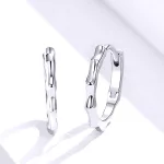 Silberne Sternohrringe