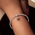 Ezüstcharm, fényképezőgép