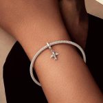 Ezüstcharm, repülőgép