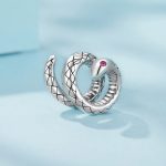 Ezüstcharm, kígyó