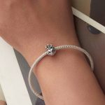 Ezüstcharm, oroszlán