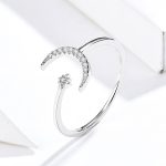 Ezüstgyűrű, Hold és csillag