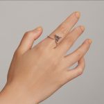 Ezüstgyűrű, szitakötő